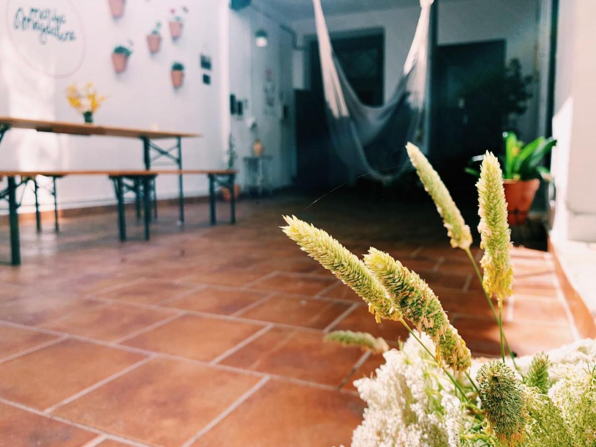 Maria Magdalena - Room 10 Malaga Exterior photo